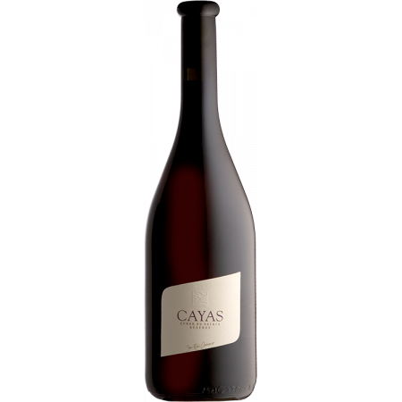 Cayas Syrah Réserve 2020 - Domaine Jean-René Germanier Cayas Syrah Réserve 2020 - Domaine Jean-René Germanier