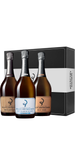 Comprar online CHAMPAGNE BILLECART-SALMON ao melhor preço na loja