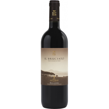 Il Bruciato 2022 - Tenuta Guado al Tasso Il Bruciato 2022 - Tenuta Guado al Tasso
