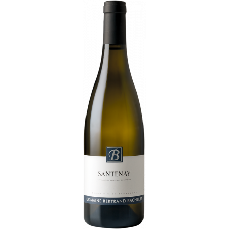 Santenay Branco 2024 - Domaine Bertrand Bachelet Santenay Branco 2024 - Domaine Bertrand Bachelet