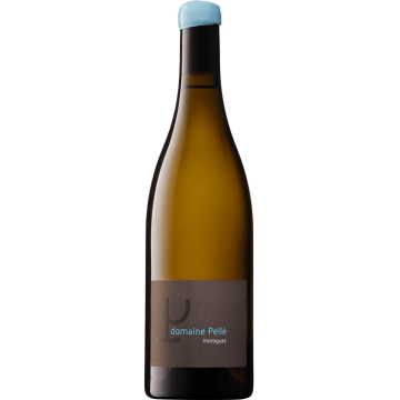 Morogues 2025 - Domaine Henry Pellé