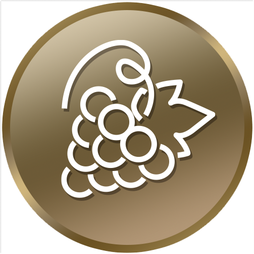 Élu Vigneron de l'Année - Guide Hachette 2019